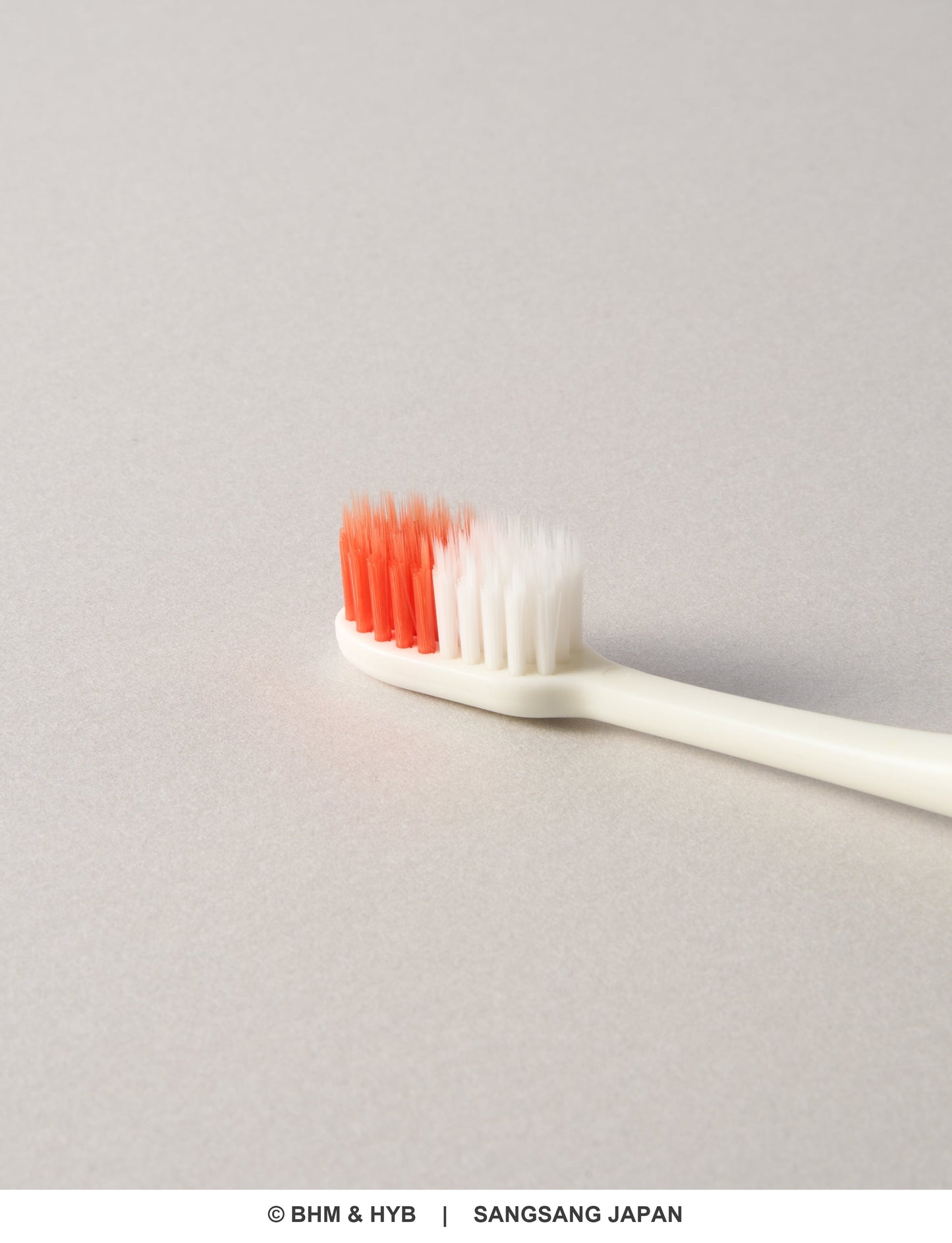 Toothbrush Set_1pcs （TinyTAN マグネット式壁掛け歯ブラシ）